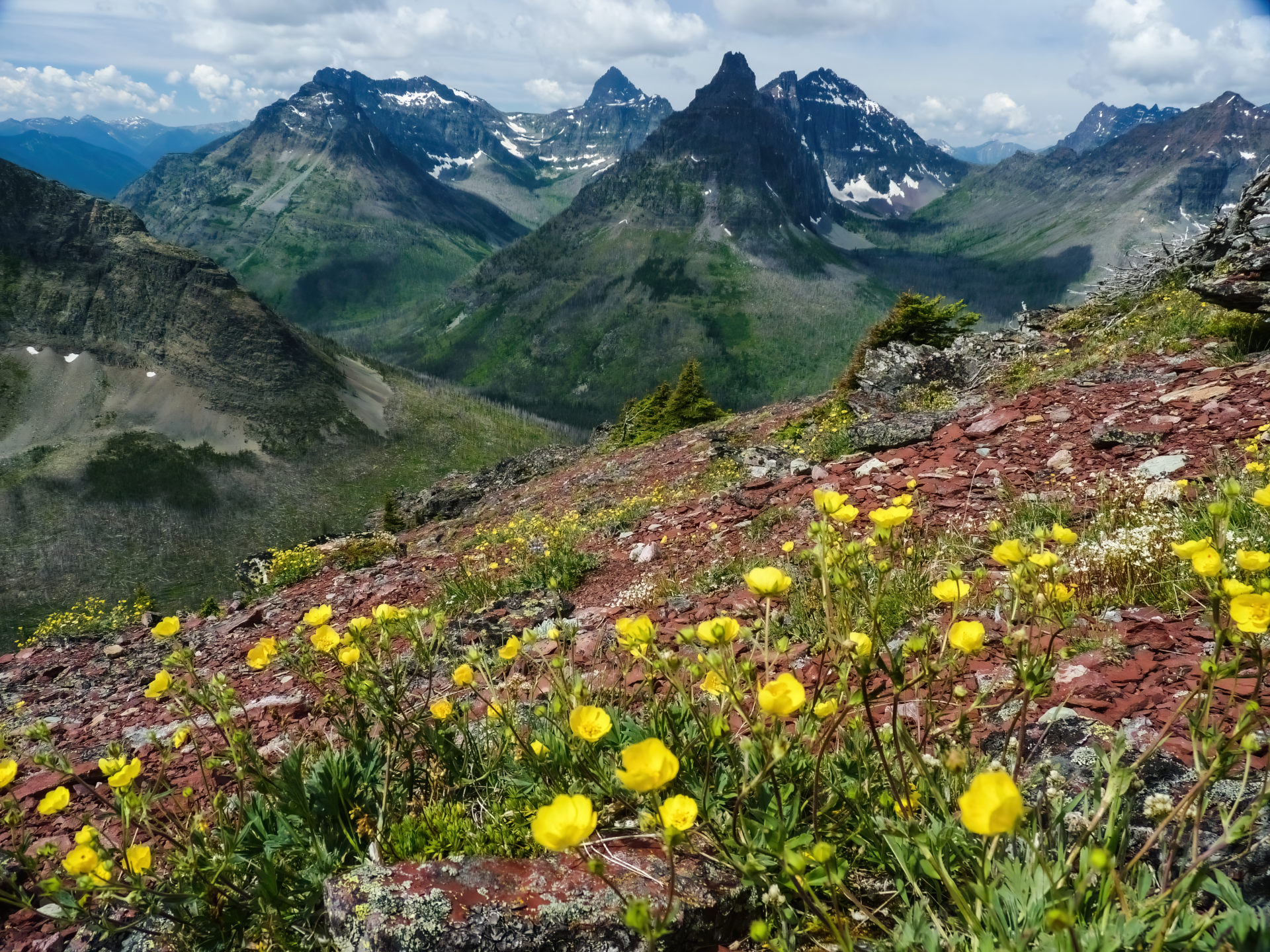 Conquer Two Medicine Pass: Challenging Hike or Shorter Scenic Options